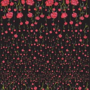 Meet your Posher, Raquel